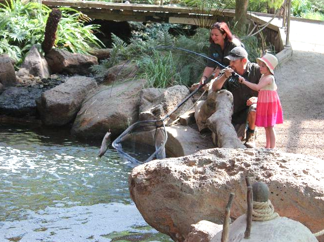 Fishing Adventures and Bush Tucker at Rhyll